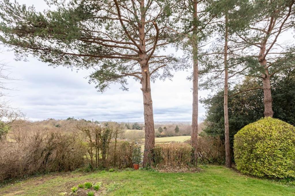 Oak Tree Cottage Uckfield Εξωτερικό φωτογραφία