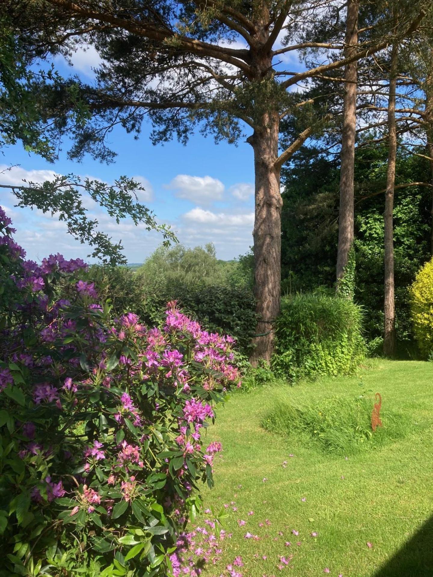 Oak Tree Cottage Uckfield Εξωτερικό φωτογραφία